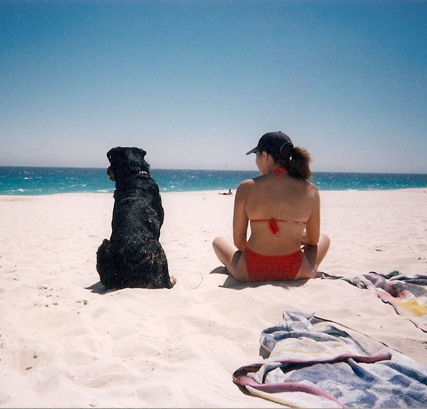 Tyson (my old Rotty and best friend) at Peasholm Beach. I LOVE this picture.