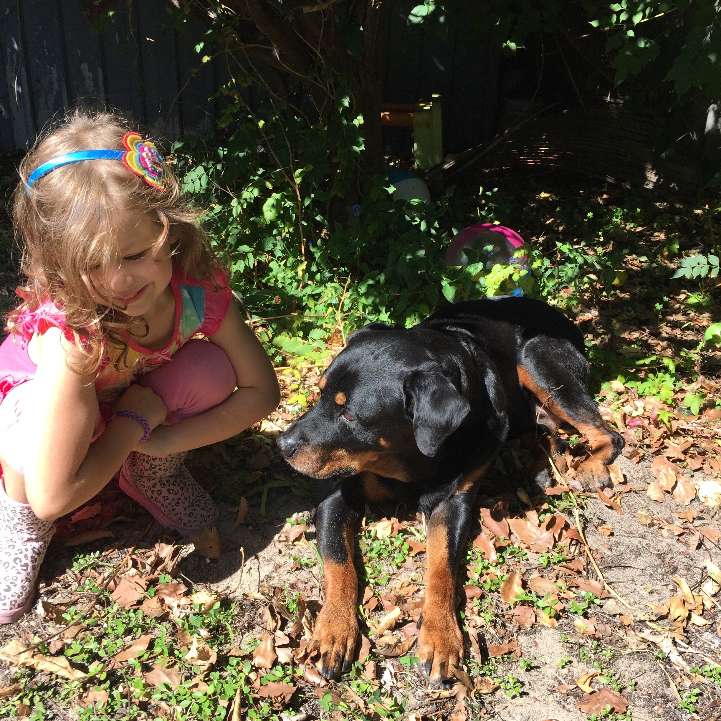 Goodbye Atticus, everyone loved you